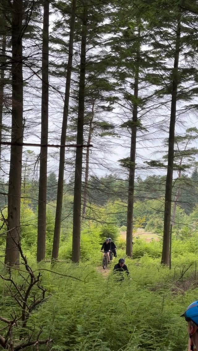 It have been good the last months, so happy to have you all visiting old and new faces creating good vibes, enjoying surfing and the area! 🏄🙏
#vikingsurfhouse #klitmøller #cafe #surfing
