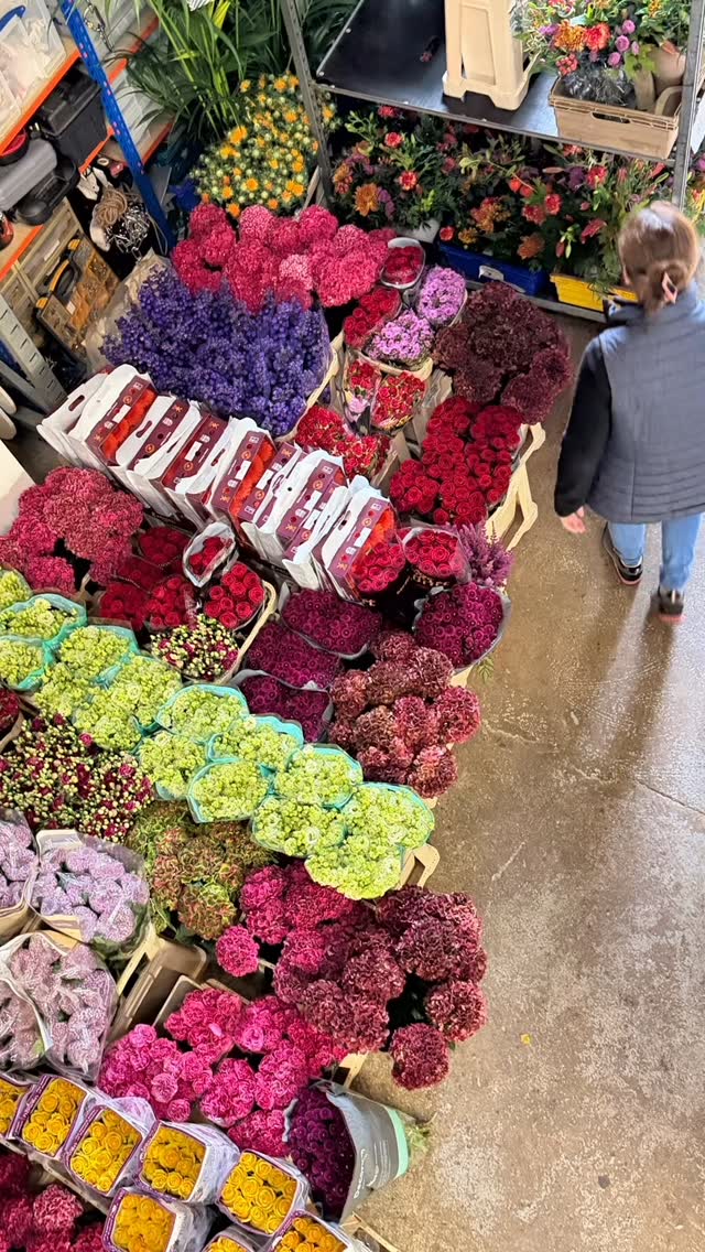 Another day in the office 🐶
#blomster #blomsterdekoratör #florals #blomsterdesignsflowers #goldendoodle