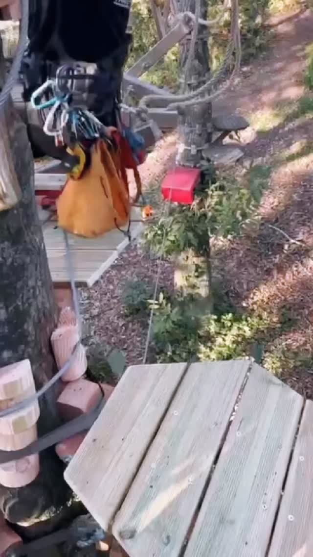 Suite à vos nombreux retours et à votre envie constante de repousser vos limites, un tout nouveau jeux vient enrichir le parcours 4 !
Vous avez été nombreux à nous demander plus de difficultés, plus de sensations fortes et un vrai défi physique et à la hauteur de vos attentes.
C’est donc chose faite!💪💪💪💪
Ce nouveau jeux est installé sur le parcours n°4, il fait près de 8 m de long.
Il est composé de 3 sections différentes tout en équilibre, en force et surtout en concentration.
Avec des passages suspendus qui mettront à l’épreuve aussi bien les bras, vos abdominaux, vos jambes et surtout votre mental.🤯
Chaque élément a été pensé pour offrir une expérience intense, où chacun de vos pas comptent.
Sa construction n’a pas été de tout repos: deux jours complets de travail, de réglages et de tests ont été nécessaires pour garantir un jeux à la fois sûr et spectaculaire.
Alors, attention maintenant le parcours 🔴Rouge (n°4) change de couleur: il devient désormais un parcours ⚫️NOIR, symbole de puissance et de dépassement.
Alors, prêt à affronter ce nouveau jeux du parcours NOIR?⚫️⚫️⚫️⚫️⚫️⚫️
#dirinon #funparkdirinon #accrobranche #noir #monstre #nouveaudefi #letsgo il y a 11 heures
#rouge