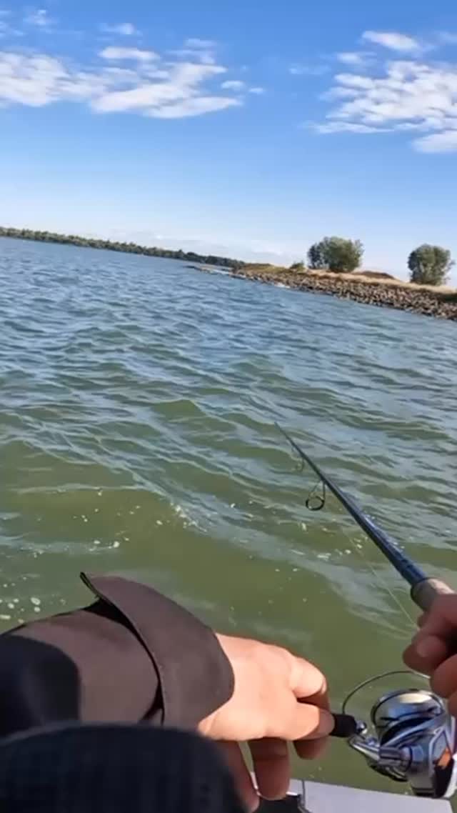 Check out the latest video on @roofmeisters , targeting Zander with our guide @thomprust.lfg.ufx #zander #snoekbaars #yamahaprofishing #stcroixrods #ufxfishing https://youtu.be/YG9d_GduYhE?si=FLhPMRNulvazAmz4