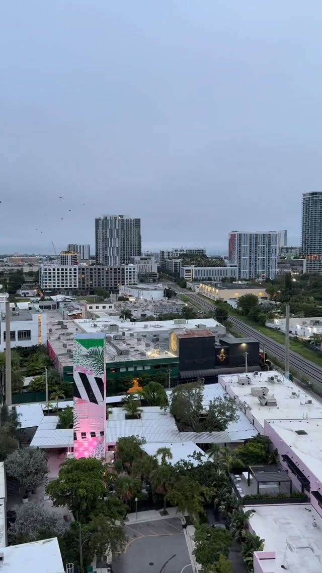sunday mornings in miami>>> 🌸🧘🏻♀️🌞☕️🌴
#miami #miamibeach #yoga #wellness #coffee