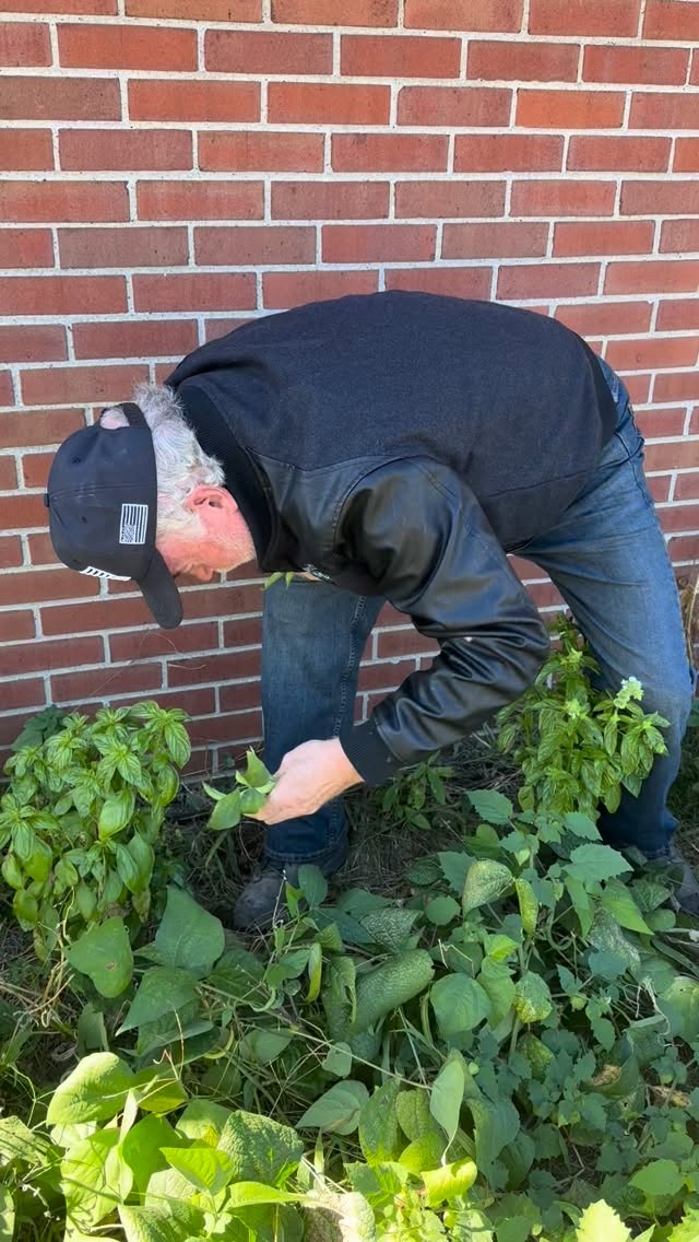 We use the cleanest ingredients we can grow and source! Come check us out! #organic #cleanfood #nochemicals