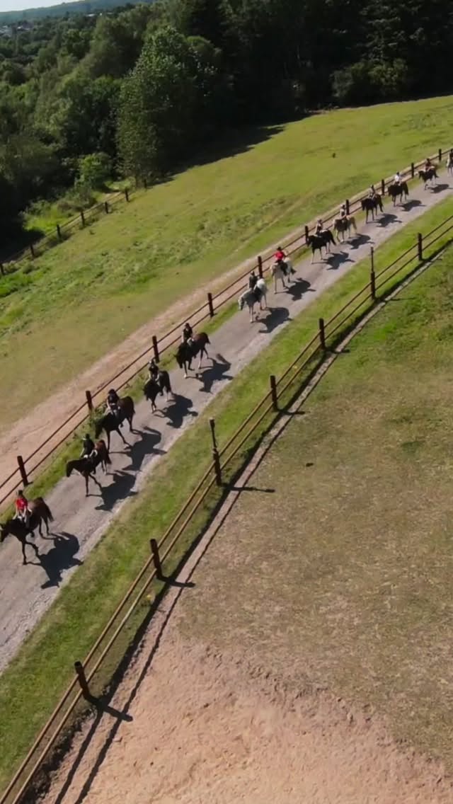 Tilmelding åbner d. 23. november til Østerlund Ridelejr, 2026🥳 Husk at sætte X i kalenderen, hvis du vil med på Danmarks Sjoveste Ridelejr til næste sommer🩷🤌🏼🥳 #østerlundridelejr #danmarkssjovesteridelejr