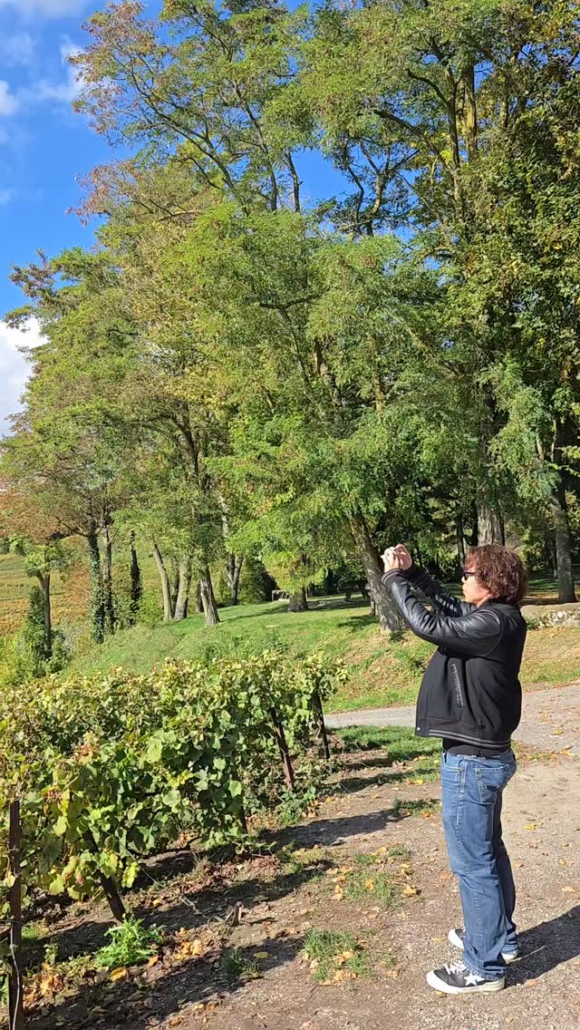 Fall is coming in Champagne.
#toursinchampagne
#tourwithlocals
#besttours #winetours #champagne #champagneexperience
#champagnelover #champagnelovers
#champagneaddict #champagne
#private #privatexperience #honeymoon #champagnesecret #champagnemoments #champagneprivateexperience #luxurychampagne #finechampagne #champagneguide #champagnelife #champagnetasting #winelover #winelovers #winetasting #wineblogger #winedestination #winetravel #winetraveler
#thechampagnewineclub #champagneluxurytrip