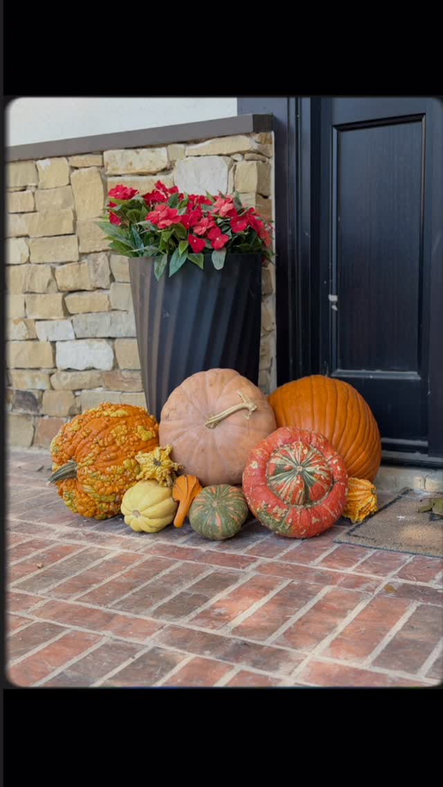 When your porch looks this good, even the leaves stop falling 😏🍂 🎃
#smallbusinessowner
#PorchDecor #PumpkinGalore
#fypシ゚viral #Slayyy #DallasTexas #Trending #FallVibes #PorchGoals #FallDecor #PumpkinSeason #FrontPorchDecor #CozyAesthetic #AutumnVibes #HomeDecorInspo #PorchStyle #DecorGoals