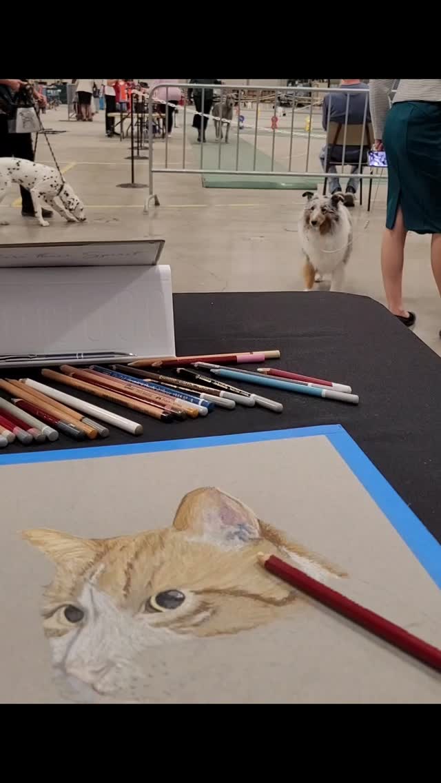 Who let the dogs out?! Medicine Hat Kennel Club that's who. Fun seeing all the different breeds. A couple of which will be future portraits. At least Jasper the cat I'm working on doesn't have to worry. Hee, hee.
#cindyshropshireart #medicinehatkennelclub #cindysart #petportraiture #yxhlocal #custompetportraits #paintkits #dogshows