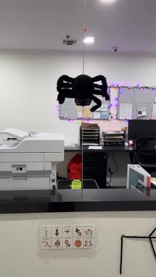 Not only does this low-tech AAC board give children opportunities to make requests, it also opens the door to shared emotions and joy! When using our hallway spider, children can request that they want it to come down, but they also get to express excitement, fear, and preferences as they watch it
move.
It’s important to model a variety of communication. Showing how to comment, share feelings, and celebrate together helps children see that communication is about connecting with others in many ways. By embedding these opportunities in playful, motivating activities like cause-and-effect toys, we make communication meaningful, fun, and social.