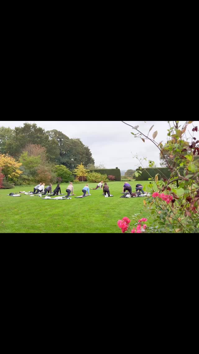 🌿 Breathe in, breathe out, and let nature hold you.
There’s something truly grounding about taking yoga outdoors — feeling the grass beneath your feet, the breeze on your skin, and the calm that comes from connecting body, mind, and earth. 🌸
Our retreats at Health & me embrace the power of nature to restore balance and bring clarity. Each breath, each stretch, each moment — surrounded by peace and fresh air.
✨ Join us for a day or overnight retreat in the heart of Herefordshire and rediscover how good it feels to slow down.
🧘♀️ @rebeccalutkin 💆🏼♀️ @vwoodhall 🏡 @maddogsandvintagevans
#healthandmeretreats #OutdoorYoga #WellnessRetreat #MindfulMoments #NatureHeals #HerefordshireRetreat #WellbeingJourney #yogainnature