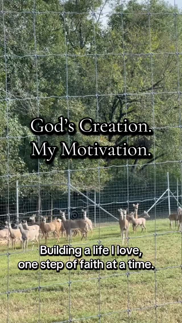 God‘s creation keeps me grounded in my why.
I work hard because I want to build a life that reflects His faithfulness — and help other women do the same.
When we align our work with His purpose, everything changes.
#faithbasedbusiness #christianentrepreneur #divinepurpose #kingdombuilders #christianwomenofinstagram