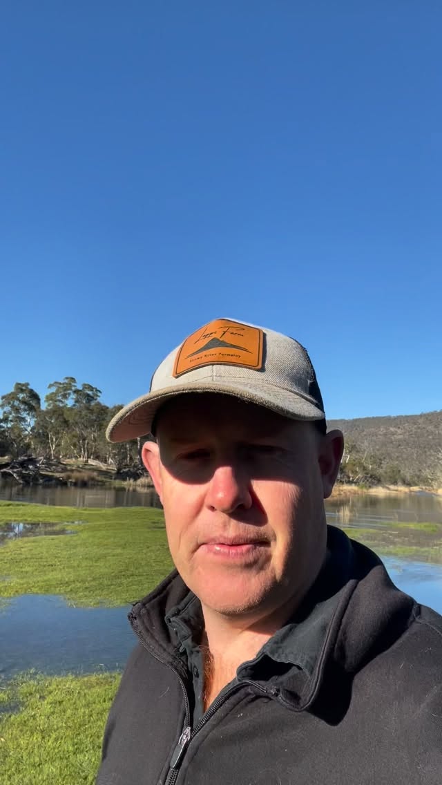 Tomorrow will see the biggest environmental flow for the year in the snowy river with 5000 mega litres, that’s 5,000,000,000 litres of water released from Jindabyne dam. It’s the annual flushing flow and part of the environmental flow program that has been happening for about 15 years to improve the river health. In the 13 years we have been at #lappifarm we have seen the water quality improve out of sight and river life explode. Hopefully I’ll be able to set up the camera to do a Timelapse to see the river swell from 20 to 80 or 100m wide! #snowyriver #environmentalscience #farmstay #jindabyne