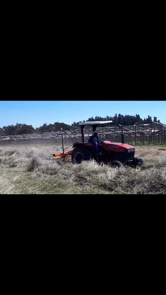 Experience cleaner, faster haymaking with the Shaktiman PTO Hay Rake! This robust machine creates well-formed swaths without twisting or entangling your hay, minimising waste and ensuring every batch is perfectly prepped for baling. For Zimbabwean farmers aiming for quality harvests and efficient baling—Shaktiman delivers results.
Discover more at lozino.com or contact Lozino Investments for more information! #Shaktiman #HayRake #CleanHarvest #LozinoInvestments #ZimbabweFarming