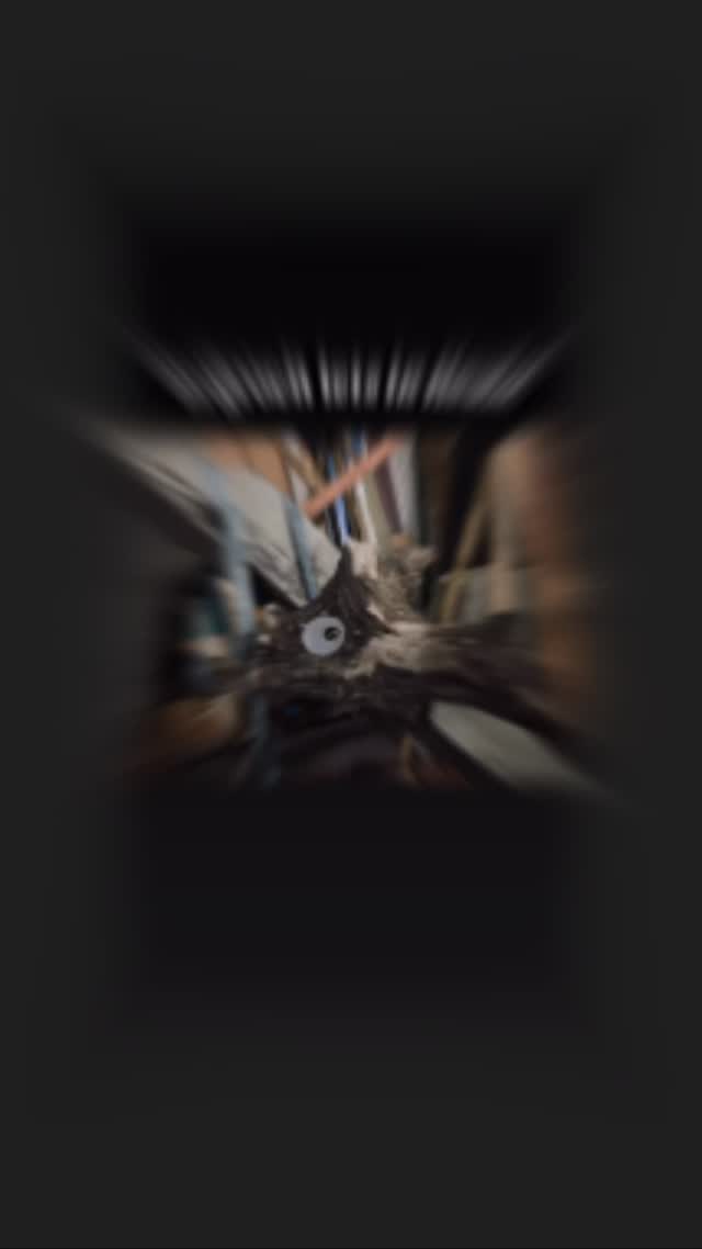 Er groeit iets in Heule..
Tijdens ‘Buren bij kunstenaars’ stellen blije buren Bert V. en Lowie Catorze hun atelier open, en op zaterdag verwennen ze jullie met een live en direct uniek en apart kunstexperiment waar iedere bezoeker zal kunnen aan meewerken!
Niet te missen!!
Zaterdag vanaf 14u!
#openatelier
#burenbijkunstenaars
#muziektekenen
#participatiekunstwerk