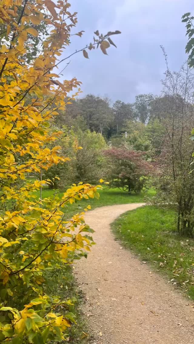 Autumn is a season of refinement. It’s a time to strip away excess and return to what is essential, resonant, and true. Habits and practices come under review, not with judgment or self-punishment, but with honour. What can we lovingly relinquish?
How are you feeling in this seasonal shift? For some of you, your body and spirit are already gesturing that they want what nature wants, to rest, but for others, we need a few more Autumn days to settle into this new rhythm.
I am especially feeling the need for nourishing, supportive practises at the moment. This weekend I will be batch cooking nutritious meals for the freezer, curries and soups and getting cosy with my pups.
Last classes before I leave for a few weeks. Are you booked?!
Monday
6-7 PM Vinyasa Flow
Tuesday
7-8 AM Rise & Flow
Wednesday
6-7 PM Rocket Yoga
Next Yin! Monday 20 October
7.15-8.30PM Yin in Autumn 🍂
All @ The Works Studio, Badcox, Frome
Please visit my website.
Link in the bio 🤎
.
Monday
6-7 PM Vinyasa Flow
Tuesday
7-8 AM Rise & Flow
Wednesday
6-7 PM Rocket Yoga
All @ The Works Studio, Badcox, Frome
Please visit my website.
Link in the bio 🤎
.
.
#mindfullness #mentalhealth #yogi #yogapractice #yogafrome #yogalife #yogaisajourney #frome #rocketyoga #vinyasa #yinyoga #fiveelements #livinginlinewithnature