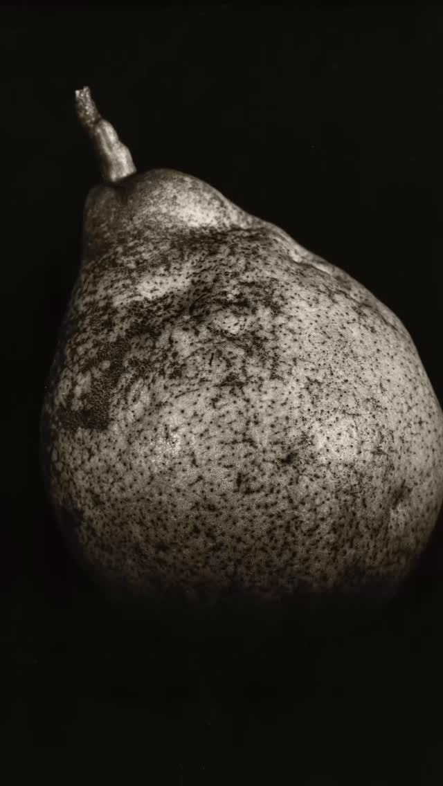 Home-grown pears. #rodenstock f4.5 21cm lens c1915 #pearshape #pearphotography #largeformatphotography #xrayfilm