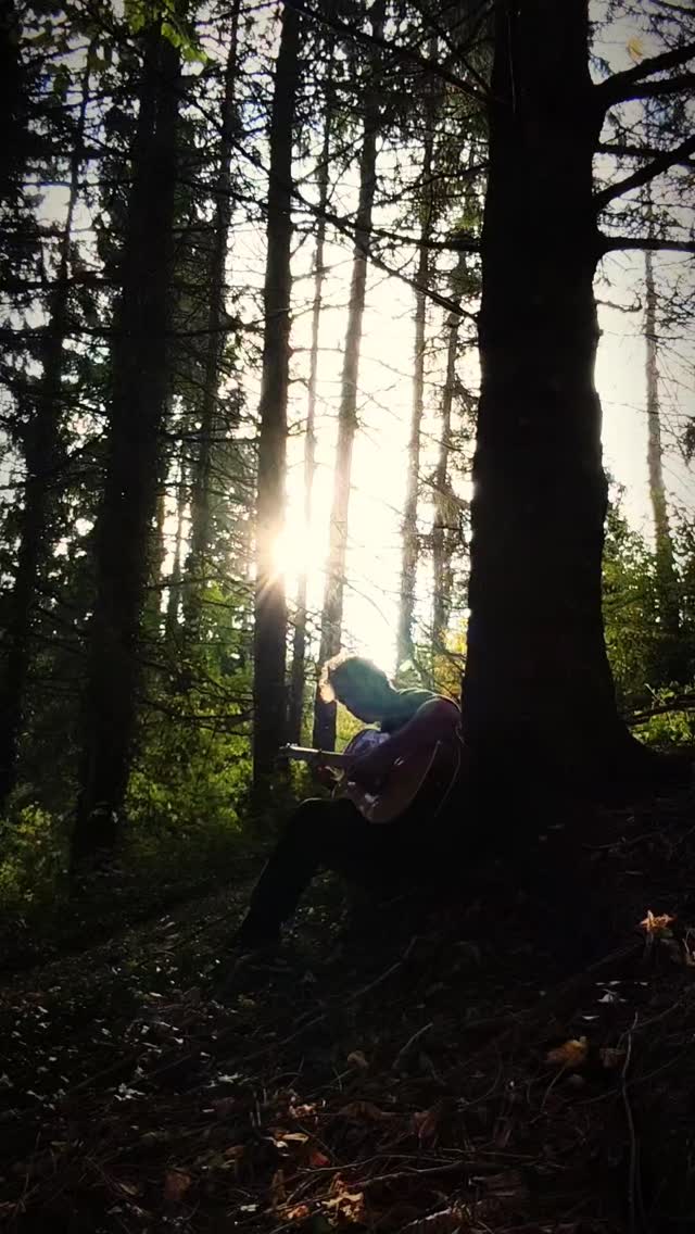 My song 'After three' played against a tree.
#accousticguitar #singersongwriters #indiefolk #sadmusic #autumnvibes #indiemusic #folkpop
