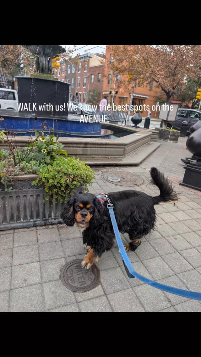 Walking with our besties