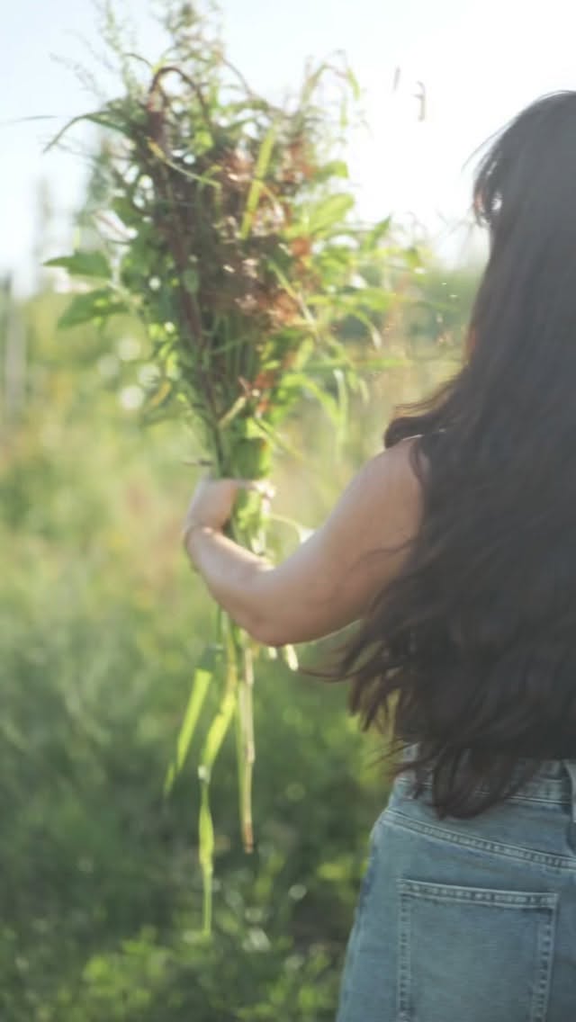 Creative mood
#casatudobem #tudobem #guesthouse #portugal #flowers #chambredhotes