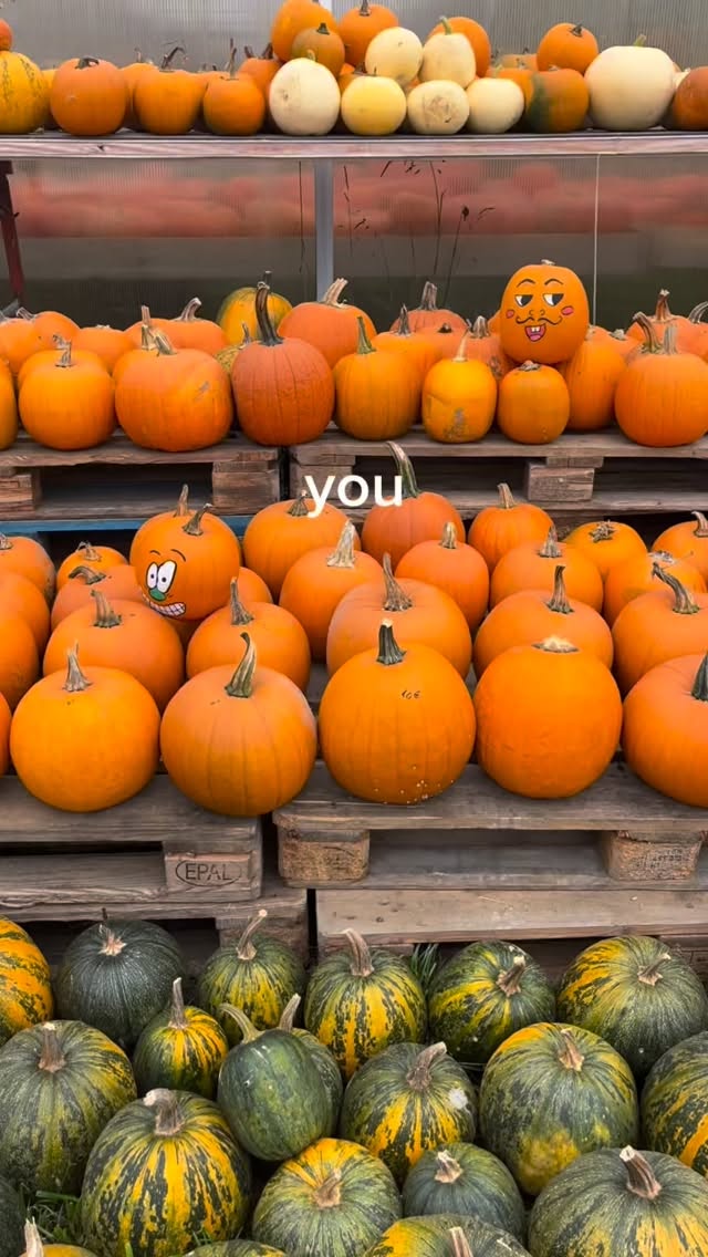 You know fall is here when… c’est la Fête de la Citrouille 🎃🤩
Aujourd’hui les courges étaient à l’honneur à la @cueillette_du_paradisvogel à Burnhaupt 🍁🧡 j’ai fait le plein de coloquintes, potirons et vibes automnales… j’en suis très contente, vu que c’est ma saison préférée ! 🤗
.
.
.
#cueillette #automne #fall #fallvibes #autumn #alsace #automneenalsace #ferme #citrouille #pumpkins #fermealsace #autourdemulhouse