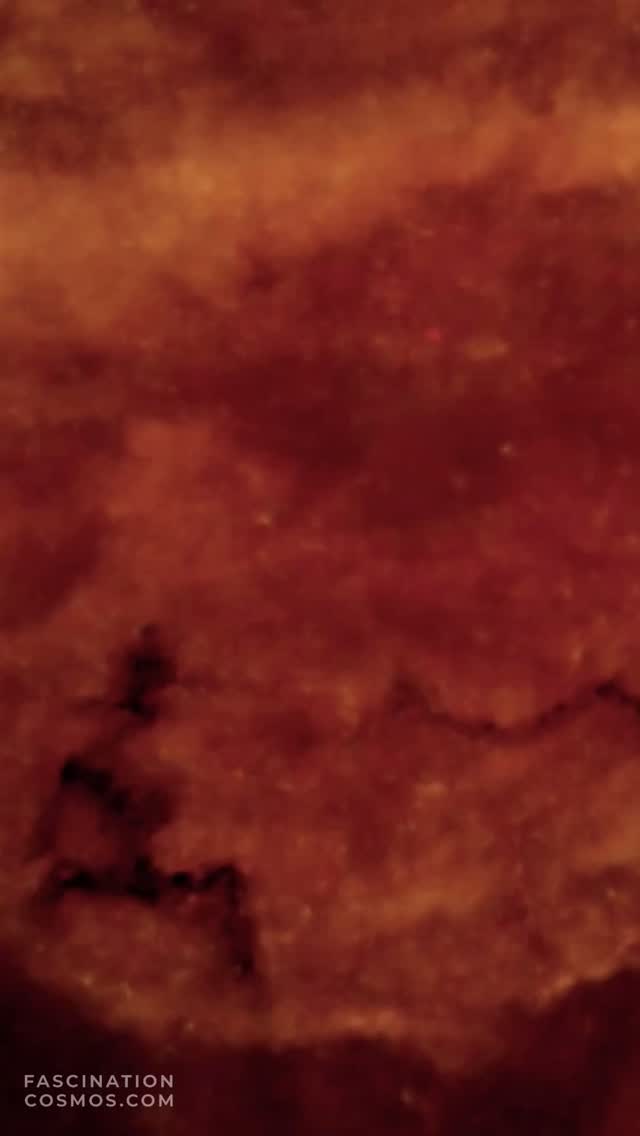 Happy Halloween, Sh2-232, Kürbiskopfnebel
Wasserstoff, ionisierter Wasserstoff, angeleuchtet von den Sternen in der Umgebung. Auch der Kürbiskopfnebel (Sh2-232), ein lichtschwacher Emissionsnebel - so heisst er, da er das Licht abstrahlt oder eben „emittiert“. Er besteht hauptsächlich aus Gas, das beginnt neue Sternensystem, meist mit Planeten zu bilden. Kürbiskopf, weil er wohl so ähnlich aussieht. Er ist der größte, aber auch sehr lichtschwache Nebel in einer Gruppe, die etwa 6.000 Lichtjahre entfernt ist. Innerhalb von Sh2-232 befindet sich auch ein kleiner planetarischer Nebel. Die Aufnahmezeit dieses Objekts betrug aufgrund seiner geringen Helligkeit fast 10 Stunden!
Aufnahme: Hyperstar 420mm, f/2.8, QHY268M Monokamera mit 7 Filtern, QHY OAG-Nachführung ASI-174MM-Mono, SestoSenso2-Fokusser, HEM27EC. 66 SHO-Filter zu je 450s, 98LRGB Aufnahmen mit je 60s, fast 10 Stunden Aufnahmezeit. Mit Astro Pixel Prozessor, Pixinsight, Adobe PhotoShop verarbeitet und das Bild als Video animiert und vertont.
© 2025, Bestellung von Kopien und Bildern gerne unter https://photo-portal.shop/profiles/fascinationcosmos.com/#/ oder per Nachricht an mich.
#fascinationcosmos #faszinationkosmos #franzrettenbacher #astrophotography #astrofotografie #astrophoto #astrofoto #deepsky #qhy268m #CelestronCGX #deepspace #SH2-232 #Kürbiskopfnebel #Halloween