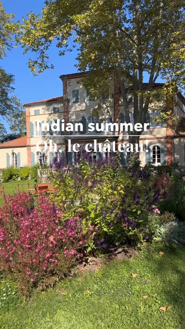 11 oktober: volop bloemen en zonneschijn🍀
Het is dat de schaduwen langer worden en het stiller is in huis zo zonder gasten, maar het lijkt wel zomer. Een echte Indian Summer.
Na gedane arbeid hoppen wij van zitplek naar zitplek om de zon op te snuiven en terug te blikken op een fantastische zomer met fijne ontmoetingen, bijzondere momenten en verhalen om nooit te vergeten. Dikke merci aan iedereen die er bij was! ❤️
11 octobre : plein de fleurs et de soleil🍀
C’est que les ombres s’allongent et que c’est plus calme dans la maison sans invités, mais cela ressemble à l’été. Un véritable été indien.
Après le travail, nous sautons de siège en siège pour renifler le soleil et réfléchir sur un été fantastique avec de belles rencontres, des moments spéciaux et des histoires inoubliables. Un grand merci à tous ceux qui étaient là ! ❤️
#mercitoutlemonde #bedandbreakfastcharme #tarntourisme #ségalasauvagedecaractère #herfstinfrankrijk #bijzonderplekje #ohlechateau #bonweekend #chambredhotesdecharme #labellevie #echappeebelle #horsdutemps
