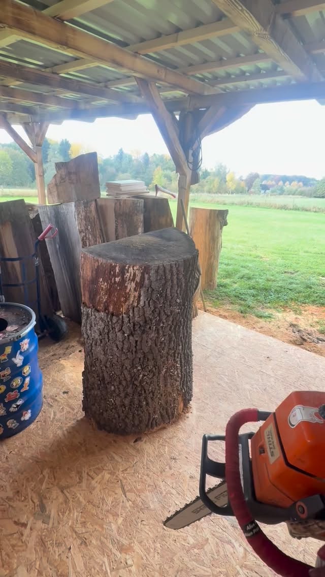 Kopf aus Säge an….😎🤘🏻