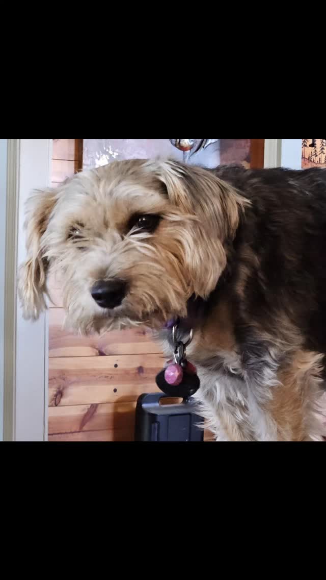 She is so squishable!