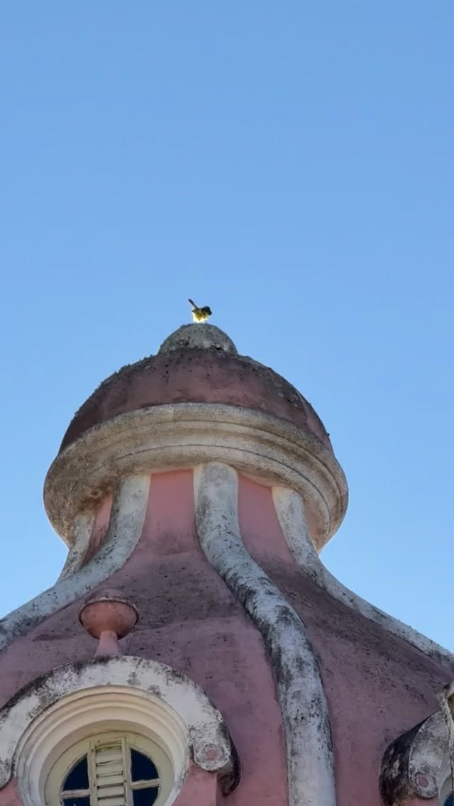 ✨ Terceira etapa do Baú de Histórias @sesc_sc 🚲
Passou voando, feito passarinho… e a saudade desses dias já sentimos!
Gostaríamos de agradecer as pessoas do Sesc Laguna, Sesc Tubarão, Sesc Araranguá, Sesc Comunidade Forquilhinha, Sesc Comunidade Cocal do Sul e Sesc Criciúma… todos os profissionais envolvidos em todas as etapas, @kamiladebortoli pela confiança e produção geral e cada técnico e técnica, desta, e todas as etapas que circulamos. Todo o público pelo olhar e escuta!
Viva as histórias! O acesso às artes! O Kamishibai!
Viva todas as pessoas que encontramos ao longo do caminho e deste projeto! Muitos e muitos vivas!
Vida longa ao Baú de Histórias!
🧡
#teatrodori #teatro #kamishibaibrasil #kamishibai #hanasakajiisan #kamishibaï #contaçãodehistórias #sc #sescsc #baúdehistórias #sesc