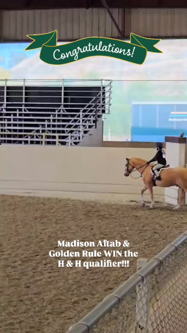 So proud of these two, learning and growing together so quickly. Good luck at the Horse & Hound Pony Final this weekend!