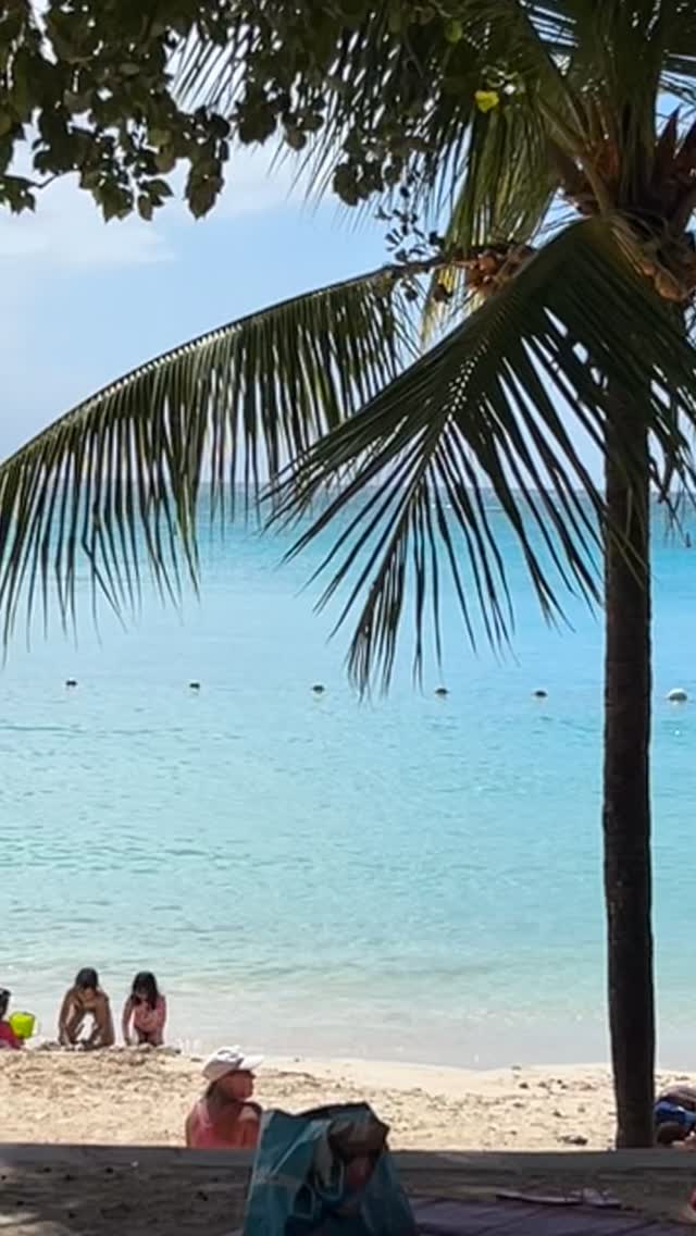 Dream Vacay in Mauritius 🇲🇺
Recce swimming with my dad from Switzerland - stay tuned 🤩😎
In the meantime book your dream swimming holiday with Swimwild Escape 💦🐠🏊♀️🏊♂️☀️
#daretoswimwild #swimmingholidays #wildswimming #swimmingholiday #swimmingadventures #loveswimming #swimmingadventures #loveswimming