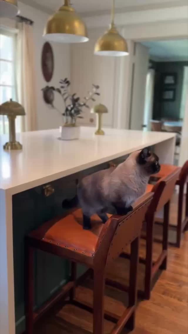 We adore our beautiful shaker kitchens and love visiting past customers to see how they bring our designs to life and make them their own daily.🍃🥧🍏
-
-
-
#zapatacustomcabinets #customcabinetry #dfw #homeimprovement #kitchendesign #renovationideas #cottagecore #shakerkitchen #interiordesign