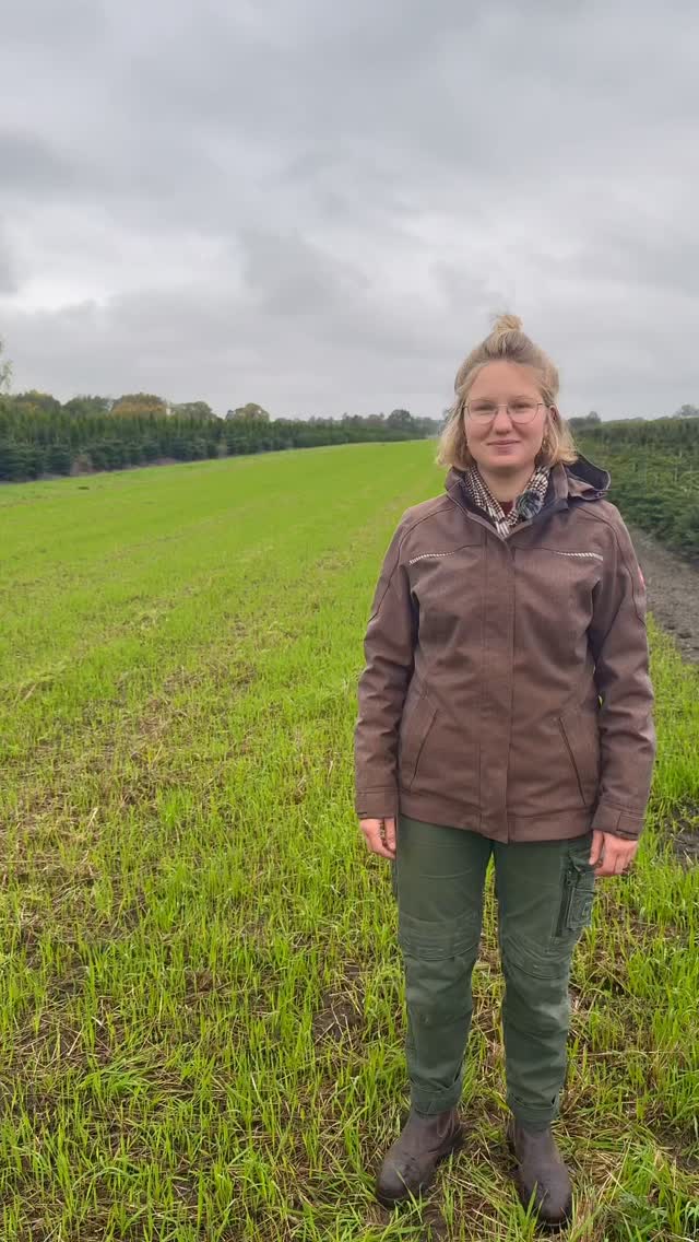 Herbst ist Pflanzzeit!
Wir nehmen dich mit beim Aufpflanzen unserer eigenen Eiben-Heckenpflanzen.
Mit Handarbeit, aber auch viel technischer Erleichterung produzieren wir für dich Pflanzen in Top-Qualität.
Wollt ihr mehr Einblicke in unsere Produktion?
#baumschule #baumschulenterbrack #pflanzen #boomkwekerij #nursery #hecke #landwirtschaft #regional