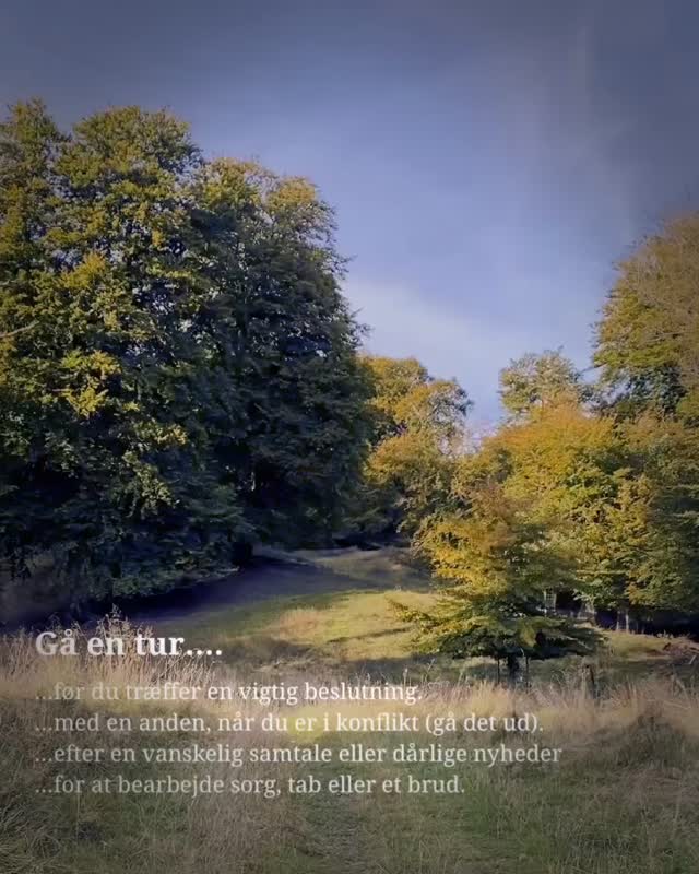 Når vi går, går sindet med…
Gåturene er nemlig kroppens måde at bearbejde og give mening til det, der sker for os – og samtidig en af de mest naturlige måder at regulere vores nervesystem på.
Når vi går, bevæger vores øjne sig automatisk fra side til side. Det kaldes bilaterale øjenbevægelser, og det stimulerer begge hjernehalvdele på én gang.
Den venstre hjernehalvdel tager sig af logikken – den højre af følelserne.
Når de arbejder sammen, bliver vi bedre i stand til at bearbejde oplevelser, traumer og stærke følelser.
Hjernen kan give slip, finde ro og skabe ny mening.
Og samtidig sker der noget helt enkelt: vores nervesystem falder til ro.
Derfor kan en daglig gåtur – især nu, hvor efteråret kalder os ud i naturen – gøre underværker, når livet kradser og nervesystemet er flosset.
Så snør skoene, mærk jorden under dig – og lad hvert skridt bringe dig lidt tættere på roen igen.
🍂God tur.
Kærligst Pernille
______________________________________
#minvej
#gåfordigselv
#kropogsind
#nervesystemiro
#livetiomløb
#naturensmedicin
#langsommelighed
#selvomsorg
#efterårsglæde
#indrebalancer