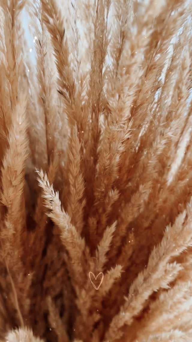 So sieht Atelierliebe aus 🌾 Was der eigene Garten alles hergibt – wir staunen immer wieder aufs Neue.
Unsere selbst geernteten Trockengräser warten darauf, in verschiedenen Szenen, Verpackungen, Geschenksets zu glänzen. ✨🤎
#laviaatelier #lvatelier #besondersfürdich
#jesmonite #jesmonitedesign #jesmonitehomeware #handmade #homedecor #homedecorideas #homedecoration #deko #geschenkidee #handmadegifts #wohnaccessoires #interior #decorideas #kerzen #candles #trockenblumenausdemgarten