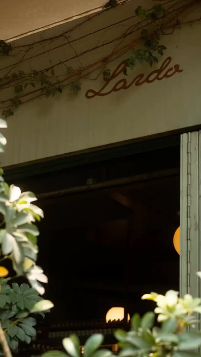 The dining scene in México City is an absolutely magical experience. Where refined talent meets exotic creativity.
— Join us as we wander through 7 must-try restaurants.
1. LARDO, La Condesa @lardomexico
2. AZUL HISTÓRICO, Centro Histórico @azulhistoricomx
3. BLANCO COLIMA, Roma Norte @blanco_colima
4. AMANDA MANDA, Roma Norte @itsamandamanda
5. RESTAURANTE ROSETTA, Roma Norte @restauranterosetta
6. SAN ÁNGEL INN, San Ángel @restaurantesanangelinn
7. PANADERÍA ROSETTA, Roma Norte @panaderiarosetta
—
Images: ©️ Hither&Wander 2025 with additional images courtesy of Lardo, Azul Histórico, Restaurante Rosetta & Panadería Rosetta.
For details & travel tips on México City click the link in our bio.
.
.
.
#hitherandwander #uniquetraveltips #visitmexicocity