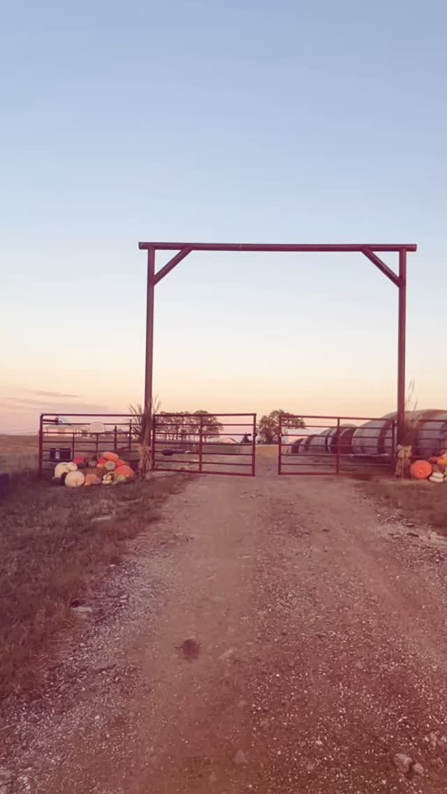 Nothing says “welcome to the ranch” like a brand new gate dressed up for fall 🍁
Rex Messner brought Anissa’s vision to life with this beautiful build.. perfectly finished with pumpkins from @robertsbrosfarm
it’s finally feeling like harvest season around here 🐂🎃 #LoghryCattleCo #RanchLife #FarmLife #CattleRanch #FallOnTheFarm #HarvestSeason #CountryLiving #RanchStyle