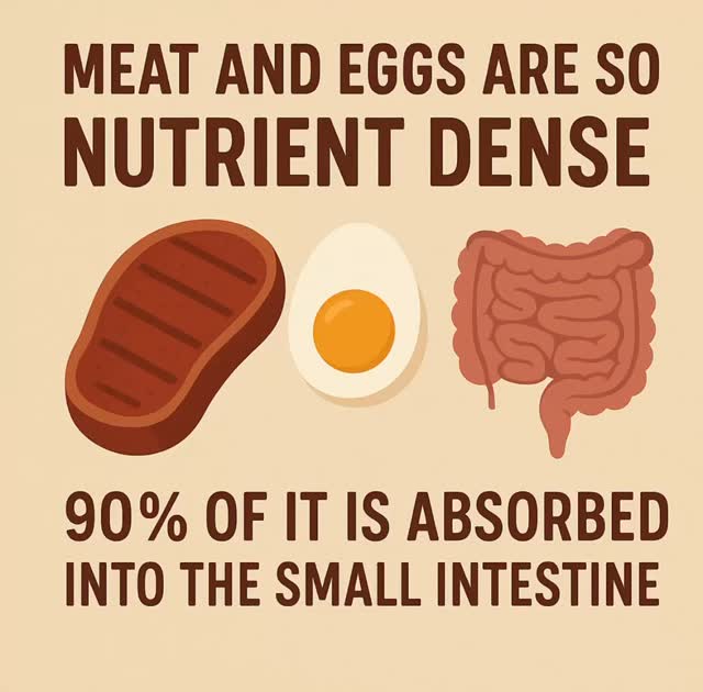 90% of meat and egg nutrients get absorbed by your body.
That’s why real food heals.
Not powders. Not synthetic vitamins. Just nutrients your body actually uses.
Follow for more root-cause truths. #ExecutiveFunctionalHealing #RootCauseHealing #FunctionalMedicine #GutHealth #MetabolicHealing #HolisticHealing #NutrientDensity #WholeBodyHealth #JustinGetsToTheRoot #HealWithJustin