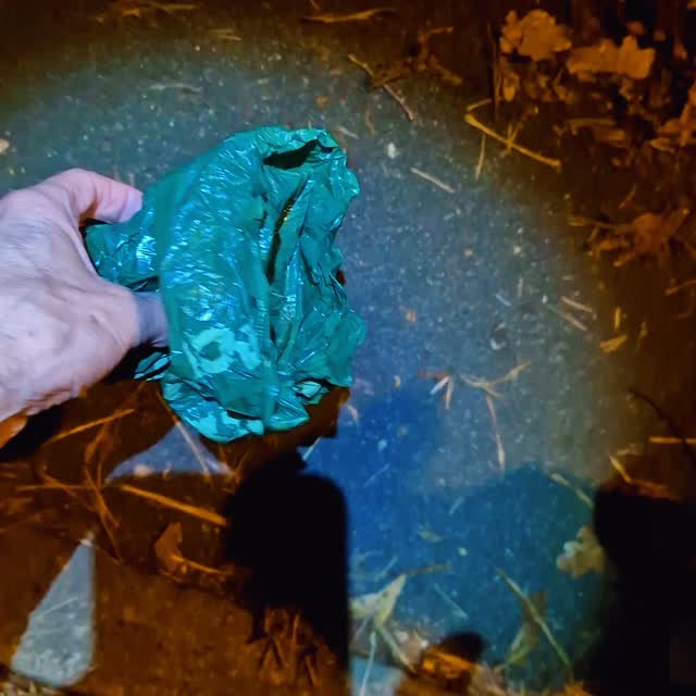 Sometimes life happens, so when 2 teams are suddenly unable to attend, it means all the fun has to be shared between two! And what a fab two they were, too!
Gibbs is just a year old but is a real nose to the ground detail gatherer. Team Gibbs smashed their junctions and did three great trails with great confidence and enthusiasm. Gibbs navigated dark alleyways and had a few life 'things ' that provided only short distractions before he got to work again. Really great work, Team Gibbs, super trails tonight ๐ ๐ ๐
Team Audrey has just a little more experience, so it was a good opportunity to cover road crossings as well as some more involved junctions. Audrey makes great decisions and choices, calmly and despite being a little out of her comfort zone. It's great seeing her confidence develop in these moments, but she's super focused on her trails and making great choices. Brilliant work, Team Audrey.
Hopefully, both teams will be tired as there's no resting on a rolling trail, so they did super work for the duration.
There's limited availability on upcoming sessions, so check www.dogtrailing.co.uk/book and come and join us ##pettrailing and #mantrailing in #Cheshire and South #Manchester