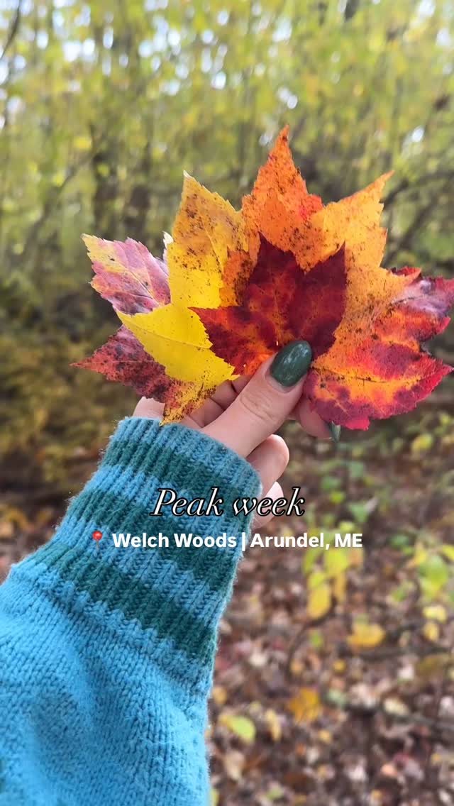 The perfect fall weekend 🍁🍂🎃
#mainefall #fallfoliage #arundelmaine #kennebunkportmaine #kennebunkmaine