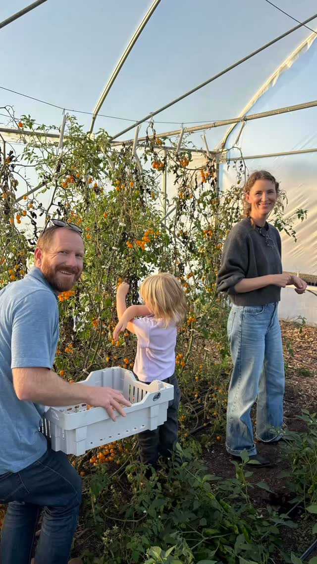 We loved hosting yโall for Family Cook Night this October!! Families gathered to explore the farm, harvest, and prepare a meal together. This month, we made tacos with the three sisters (squash, beans, and corn!) as well as a farm fresh pico de gallo. This recipe was definitely a fan favorite ๐ฝ
Big shout out to our Dietetic Intern, Lauren, who made this special evening happen.
Look out for our next Family Cooking Night coming soon!
#cityfarmslo #regenerativeagriculture #sanluisobispo #slocounty #farmeducation #farmbasededucation