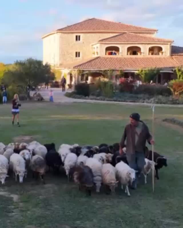 Wenn der Sommer leise vergeht, beginnt in der Ardèche eine neue Farbenpracht. Die Felsen glühen im Abendlicht, der Fluss zieht ruhig durch die Schlucht, und jeder Atemzug riecht nach Freiheit. Herbst in der Ardèche – wild, echt, wunderschön. 🌾✨