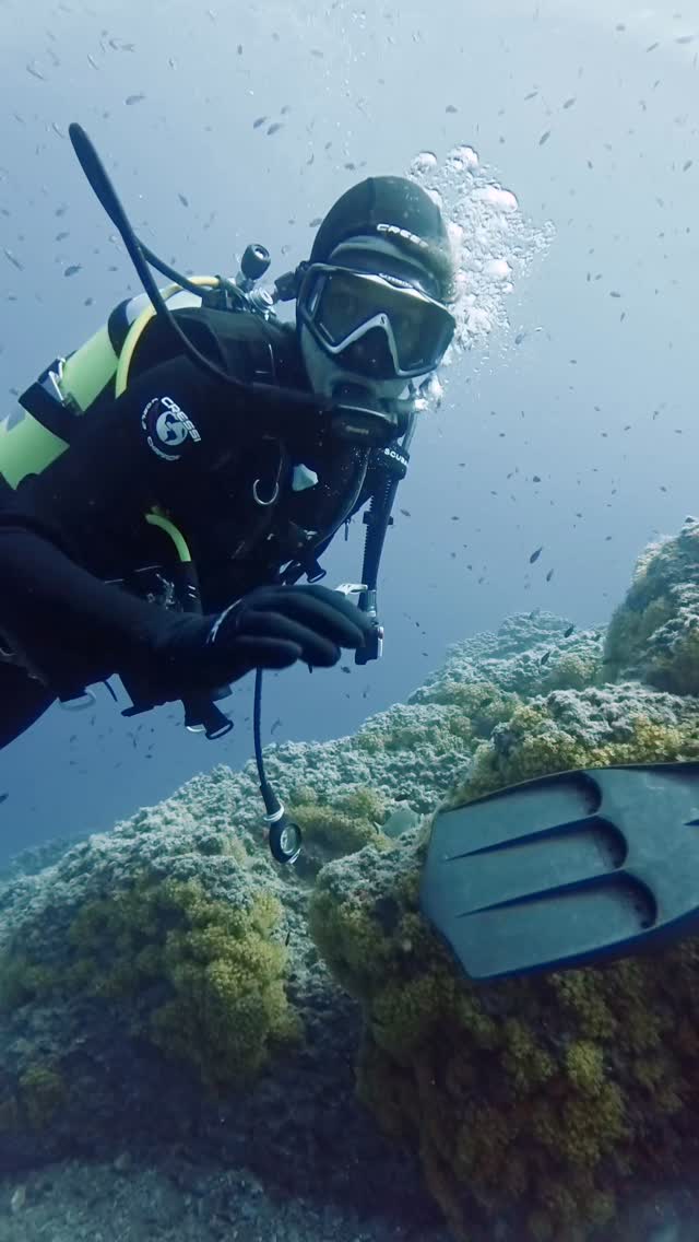 Altro weekend altra immersione🤿✨
Giornata stupenda per fare un’uscita di club e per concludere il corso di primo grado Nitrox all’isola di Bergeggi, Liguria 💙🤿
#isoladibergeggi #liguria #spotorno #diving #dive #clubsub #apneaclub #clubsubmilano #immersioni #2025 #nuoto #swimming #italysea #diving