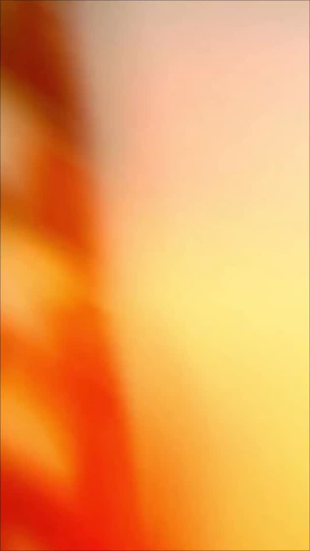 🔥 Churrasco de verdade é na Churrascaria Estrela!
Carne macia, tempero no ponto e aquele sabor que só a Estrela tem 😋✨
Estamos te esperando na Av. Coronel Antonino, nº 6162 – Bairro Nova Lima (em frente ao Alphaville) 🥩🔥
#ChurrascariaEstrela #ChurrascoDeVerdade #CampoGrandeMS #Rodízio #SaborQueEncanta #ChurrascoPerfeito