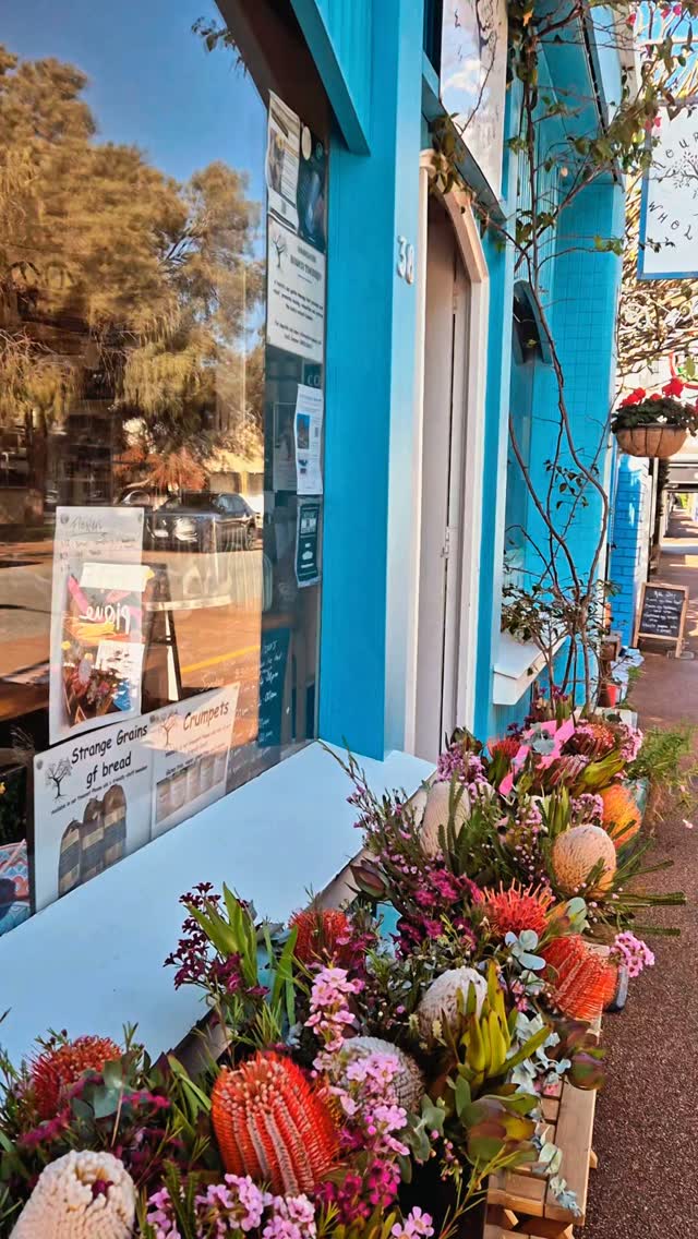 New remedial massage & somatic therapy space - Elijah Forest Therapy East Fremantle WA
Now offering 20% off for limited time (offer ends 31 Dec' 2025)
REBATES AVAILABLE 💚🌿
Find the clinic at 38 George St, East Fremantle within @nourishmewholefoods cafe and health hub.
Visit www.somaticforest.com for bookings and to download your new clients health history form.
"My Body Remembers the Rhythm of Tranquility" 😌🌿
Elijah Forest Therapy