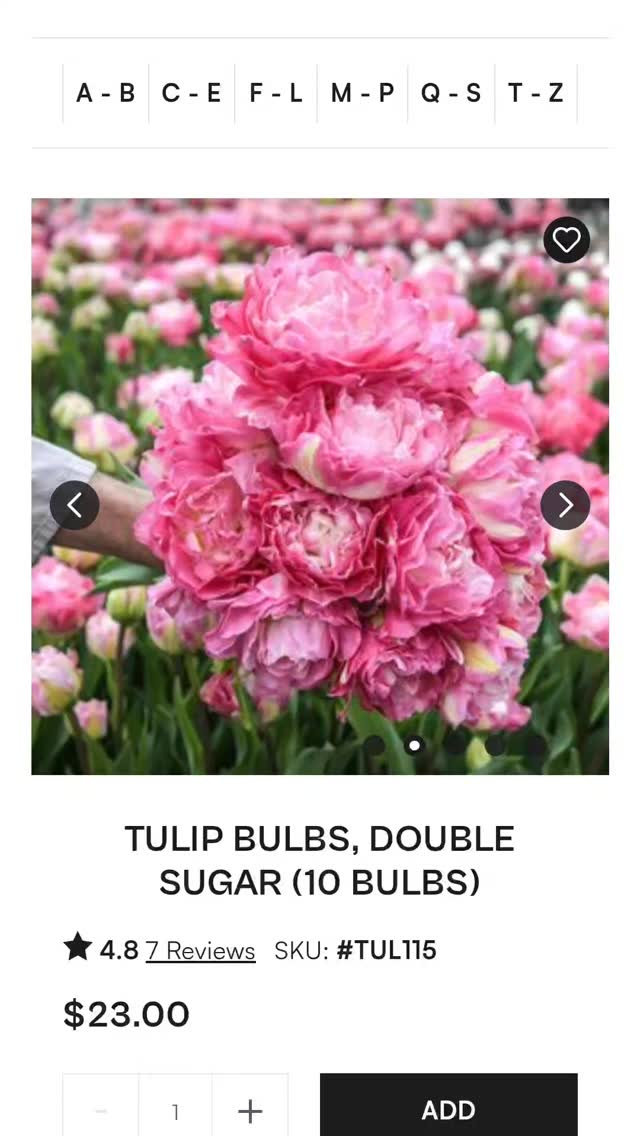 We will have these varieties in our fresh flowers next year and i couldnt be more thrilled 😍