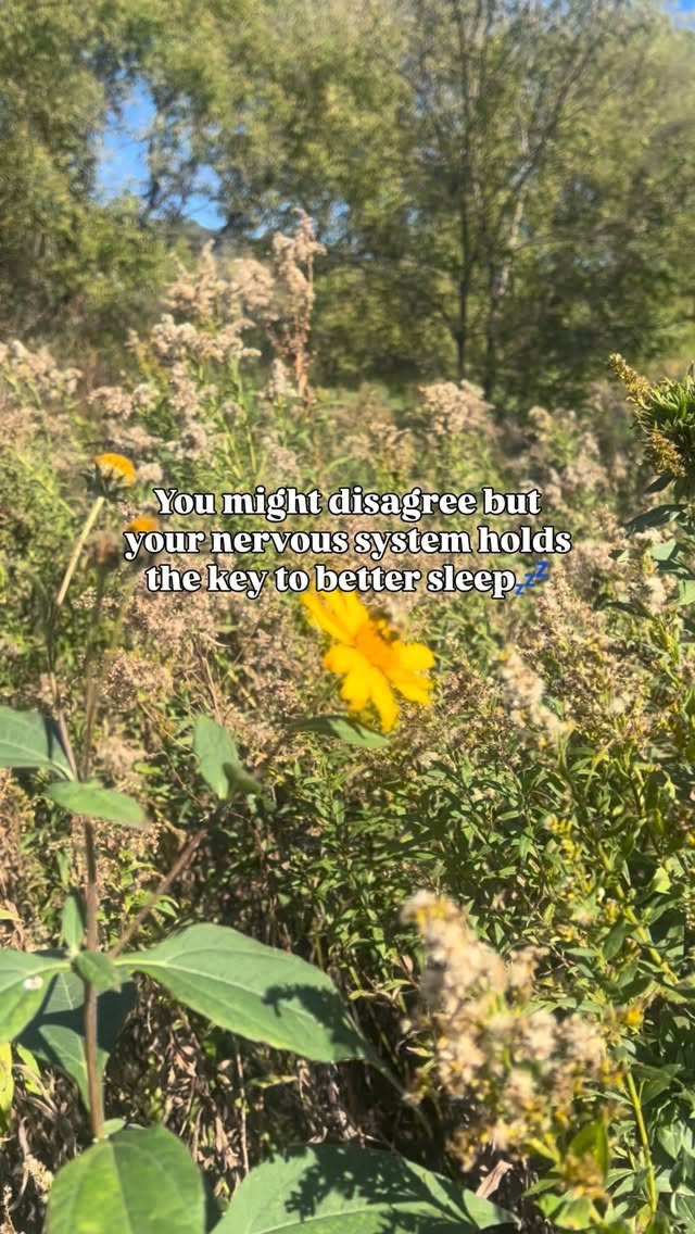 When your body stays stuck in fight-or-flight, rest feels impossible, even when you’re tired.
Chiropractic care helps reset the system that controls everything, including your sleep cycles.
When your body finally shifts into “rest + digest,” everything starts to change 💫
📍Health 1st Chiropractic | Twin Cities
✨ Book a scan with Dr. Gina to see if your nervous system is keeping you awake.
#NervousSystemHealth #MineralDeficiencies #tiredallthetime #ADHDSupport #Methylation #FunctionalNutrition #Magnesium #SleepSupport #DeepSleep #HormoneBalance
#EnergyBoost #headaches #constantstress #sleepproblems #twincitiesmom #invergroveheights #southstpaul #eaganmn #weststpaulmn #woodburymn #mnmom #minnesotamom #stpaulpark #cottagegrove #eaganmoms #stpaulmoms #woodburymoms #ighmoms #twincities