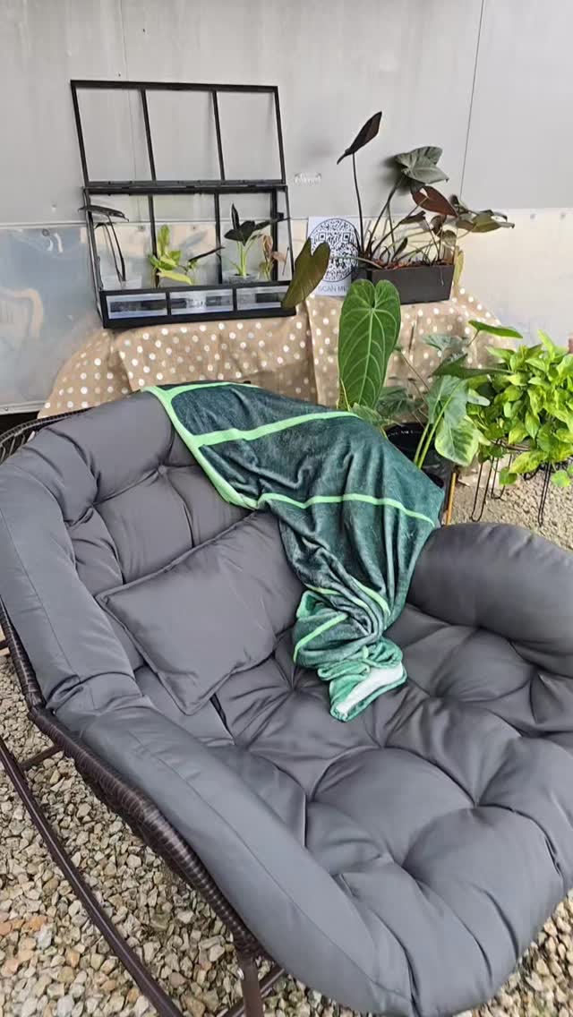 Our first trailer event is here, weve made it guys 🥹❤️
#thehenandthechick #rareplants #smallbusiness #greenhouse #greenhouse