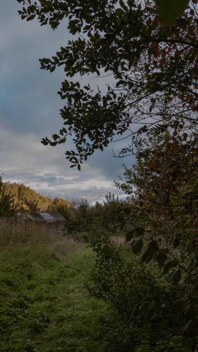 Unplug, unwind, and wake up with the trees. Two days. One cabin. Endless calm.
Blog: https://www.irenevandewegefotografie.com/post/cabiner-alleen-op-de-wereld-in-horsterwold
#cabiner #horsterwold #slowliving #forestretreat