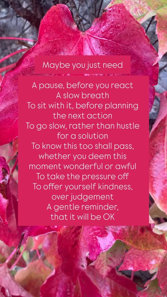 Maybe you just need
A pause, before you react
A slow breath
To sit with it, before planning the next action
To go slow, rather than hustle for a solution
To know this too shall pass, whether you deem this moment wonderful or awful
To take the pressure off
To offer yourself kindness, over judgement
A gentle reminder, that it will be OK
Monday
6-7 PM Vinyasa Flow
7.15-8.30PM Yin in Autumn
Wednesday
6-7 PM Rocket Yoga
All @ The Works Studio, Badcox, Frome
Subscribe for updates. Classes ONLINE soon 🫶🏻
Please visit my website.
Link in the bio 🤎
.
.
#mindfullness #mentalhealth #yogi #yogapractice #yogafrome #yogalife #yogaisajourney #frome #rocketyoga #vinyasa #yinyoga #fiveelements #livinginlinewithnature #trendingnow