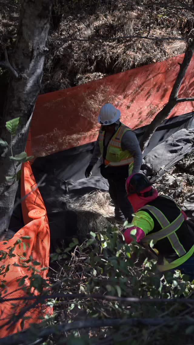 From protecting sensitive wildlife habitats to meeting strict compliance standards, our team specializes in developing creative, site-specific solutions that keep projects moving and ecosystems safe. 🌱
Whether it’s custom-designed exclusion fencing like the one we did here, innovative stormwater controls, or adaptive erosion prevention strategies, we take pride in finding the balance between progress and protection.
Thanks @flatirondragados for trusting us to keep your site environmentally compliant.
#construction #californiaconstruction #californiadevelopment #wildlifefence #wildlifeexclusion #constructionsiteservices