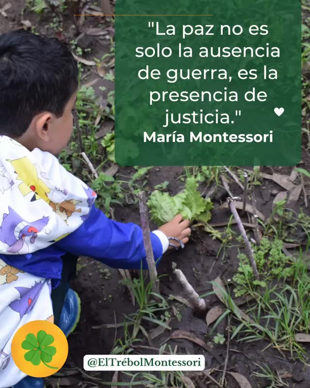 La Justicia como Cimiento de la Paz Verdadera 🕊️⚖️
En un mundo donde la palabra “paz” a menudo se limita a la ausencia de guerra, María Montessori nos invita a una reflexión mucho más profunda y transformadora: “La paz no es solo la ausencia de guerra, es la presencia de justicia.”
Esta frase, tan relevante hoy como en su época, encapsula la visión integral de Montessori. Para ella, la guerra no era solo el resultado de conflictos políticos o militares, sino el síntoma de una profunda desarmonía social, económica y humana. ¿Y cuál es el antídoto a esa desarmonía? La justicia.
¿Por qué era esto tan crucial para Montessori?
Observación del Niño y la Sociedad: Montessori creía firmemente que laniñez es la constructora de la humanidad. Si los niños crecen en entornos donde la injusticia (sea por falta de recursos, discriminación o trato desigual) es la norma, aprenden que el mundo es un lugar de lucha por la supervivencia, no de cooperación y respeto.
Educación para la Vida: Su método no buscaba solo impartir conocimientos, sino preparar a la niñez para la vida en su totalidad. Una vida plena y pacífica solo es posible en un entorno donde cada individuo tiene la oportunidad de desarrollarse a su máximo potencial, donde sus derechos son respetados y sus necesidades básicas están cubiertas. Esto es, precisamente, el corazón de la justicia.
Invitemos a nuestraniñez a ser arquitect@s de esa paz duradera, aquella que se construye día a día con actos de justicia, empatía y respeto mutuo.
#Montessori #PazYJusticia #EducaciónParaLaPaz #JusticiaSocial #CrianzaConsciente #ElTrébolMontessori
